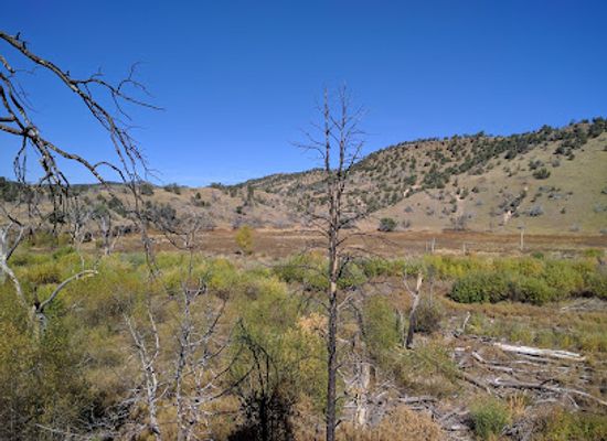 new-mexico/gila-national-forest/landmark/middle-fork-trail-157-trailhead