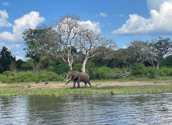 uganda/kidepo-valley-national-park/landmark/murchison-falls-national-park
