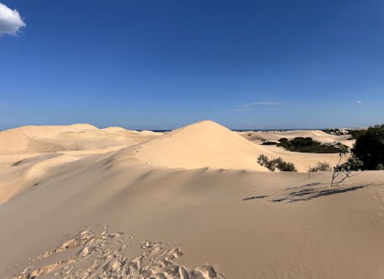 south-africa/sunshine-coast/landmark/alexandria-dune-field