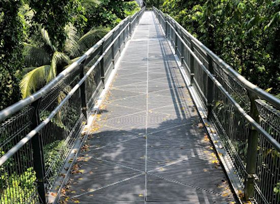singapore/holland-village/landmark/canopy-walk