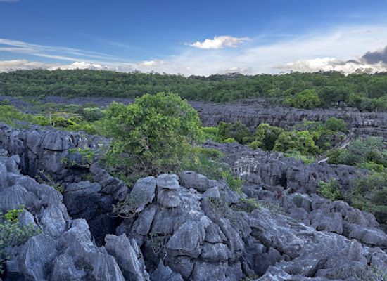 madagascar/betsiboka/landmark/reserve-speciale-d-ankarana