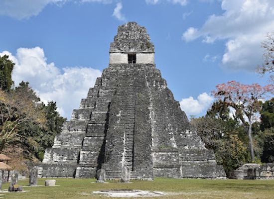 guatemala/flores/landmark/the-great-jaguar-tikal