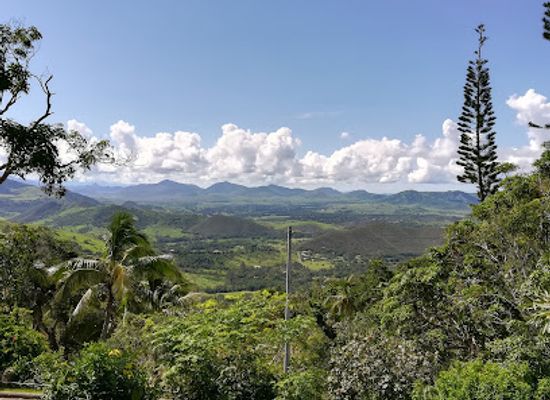 new-caledonia/farino/landmark/parc-provincial-des-grandes-fougeres