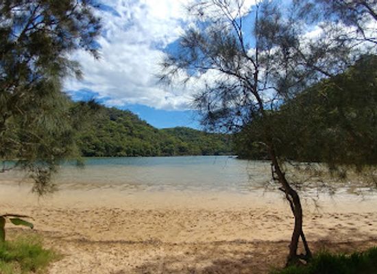 australia/sydney-basin/landmark/basin-trail