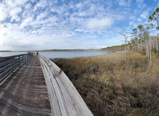 alabama/alabama-coastal-birding-trail/landmark/tarkiln-bayou-preserve-state-park