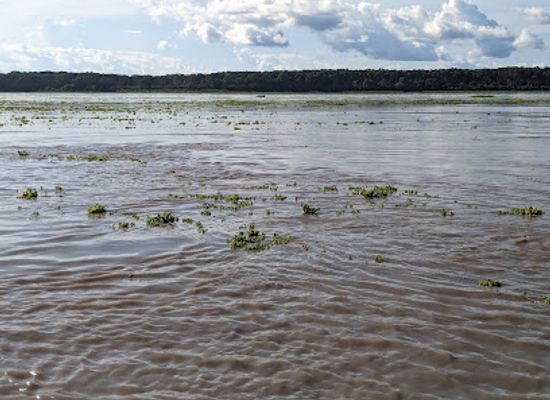 peru/amazonas/landmark/donde-nace-el-rio-amazonas