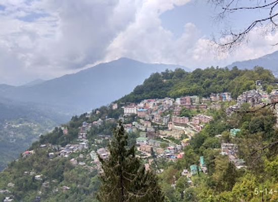 india/gangtok/landmark/flower-exhibition-centre-ridge-park