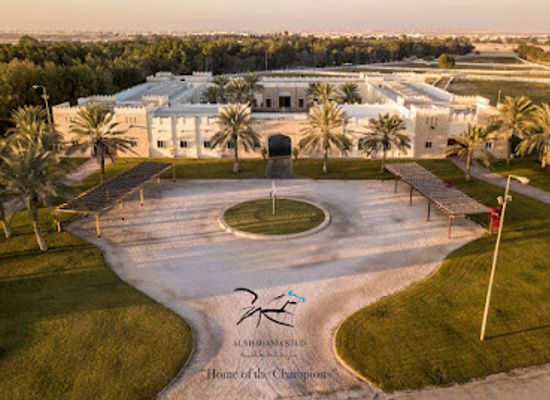qatar/al-sheehaniya/landmark/al-shahania-stud