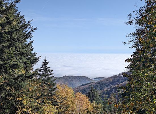 croatia/medvednica-mountain/landmark/nature-park-medvednica