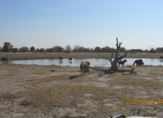 botswana/nxai-pan-national-park/landmark/nwetwe-pan