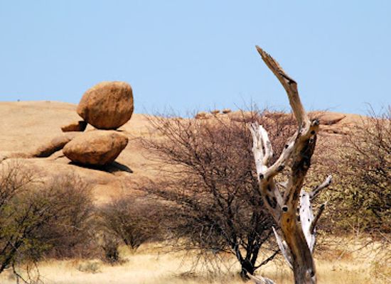 namibia/oshana/landmark/bull-s-party