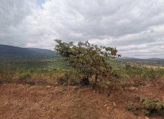 tanzania/coastal-zone/landmark/kondoa-irangi-rock-paintings