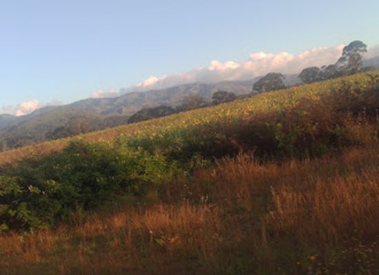 tanzania/mbeya/uyole/landmark/nane-nane
