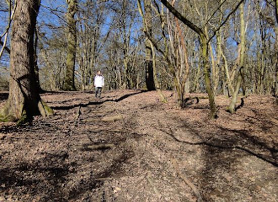 united-kingdom/middlesex/attraction/scratchwood-2