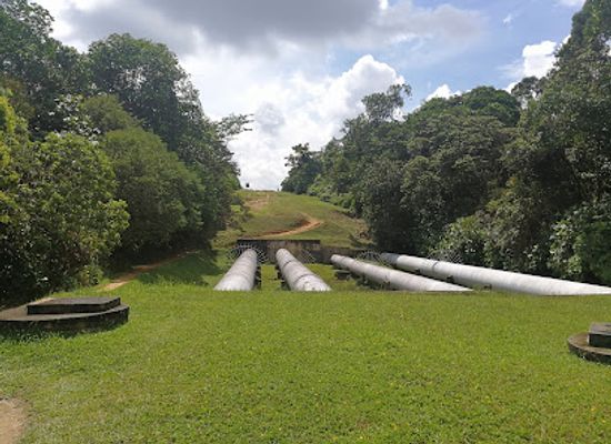 singapore/bukit-timah/landmark/eco-link-bke