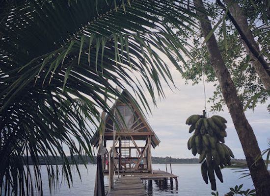 panama/bocas-del-toro/landmark/finca-montezuma