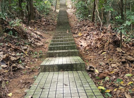 malaysia/kuala-lumpur/klcc/landmark/terowong-bukit-nanas