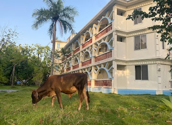 haiti/les-cayes/landmark/la-cayenne-hotel