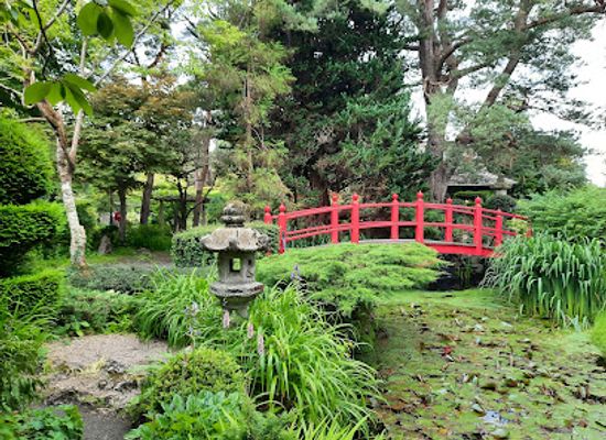 ireland/county-kildare/landmark/irish-national-stud-gardens