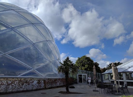 denmark/aarhus/ogadekvarteret/landmark/greenhouses-in-the-botanical-garden