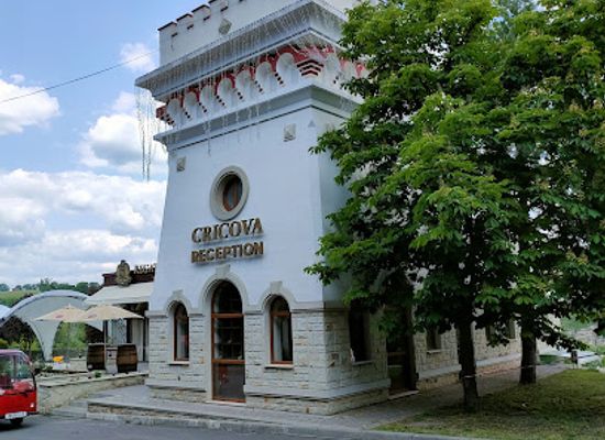 moldova/chisinau-county/landmark/combinatul-de-vinuri-cricova