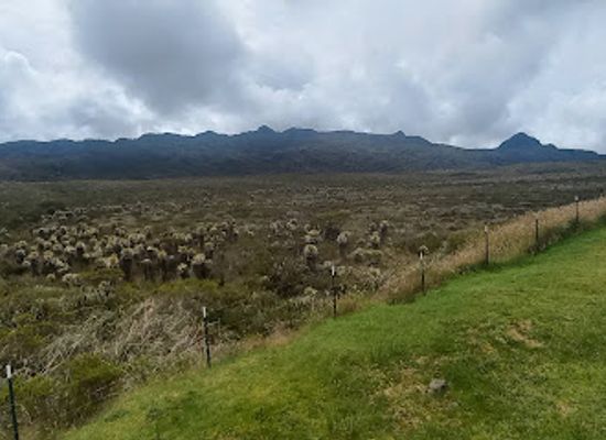 colombia/andean-region/landmark/northern-andean-paramo