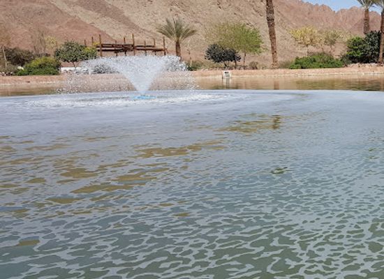israel/negev/landmark/timna-park