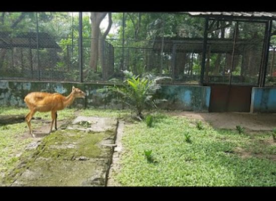 nigeria/south-east/landmark/port-harcourt-zoo