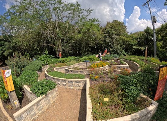 colombia/cali/ciudad-jardin/landmark/jardin-botanico-de-cali