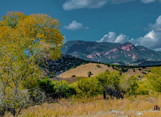 arizona/cochise-county/landmark/brown-canyon-ranch