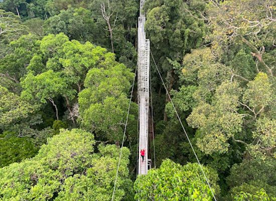 brunei/temburong-district/landmark/jambatan-gantung-keruing-hanging-bridge