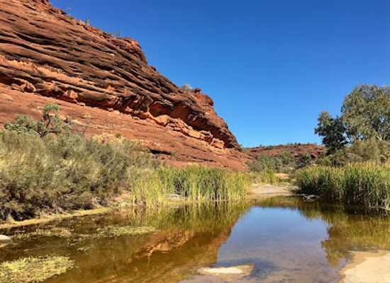 australia/outback/landmark/palm-valley