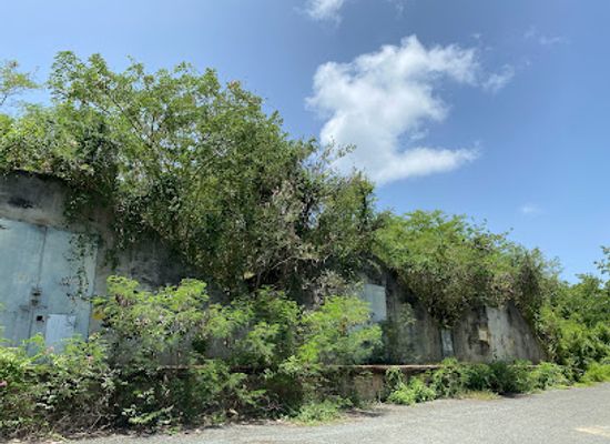 puerto-rico/vieques/landmark/bunker-311