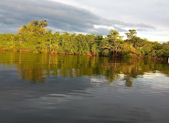 ecuador/northeast-oriente/landmark/reserva-de-produccion-de-fauna-cuyabeno