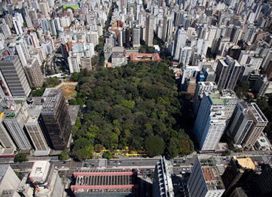 brazil/sao-paulo/jardins/landmark/trianon-park