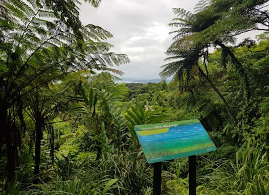 australia/far-north-queensland/landmark/uncle-brian-s-tours