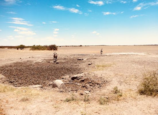 botswana/makgadikgadi-pans/landmark/central-kalahari-game-reserve