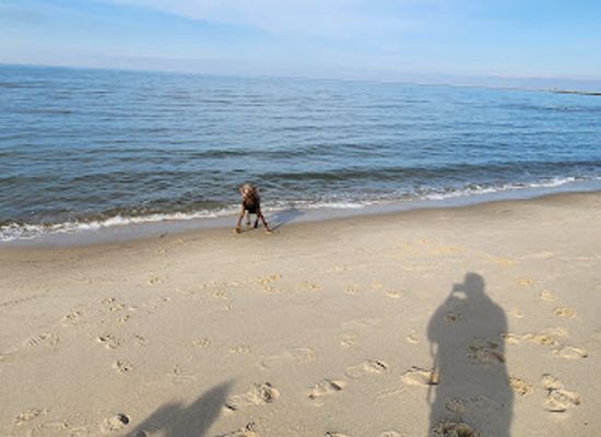 delaware/lewes/landmark/lewes-public-beach