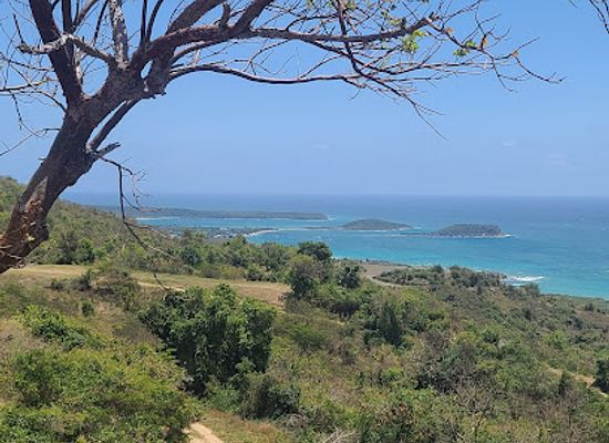 puerto-rico/vieques-island/landmark/vieques-buggy-adventures