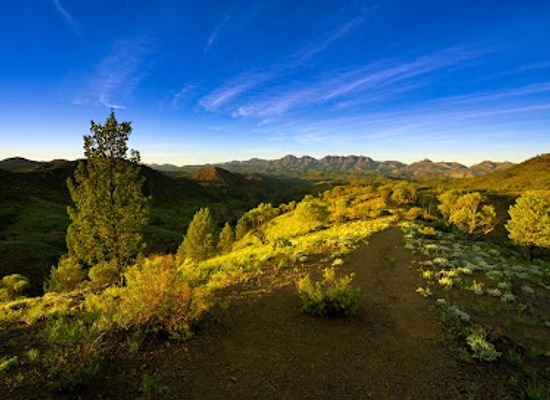 australia/flinders-ranges/landmark/bunyeroo-gorge
