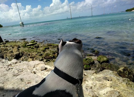 florida/florida-keys/landmark/indian-key-state-historic-site