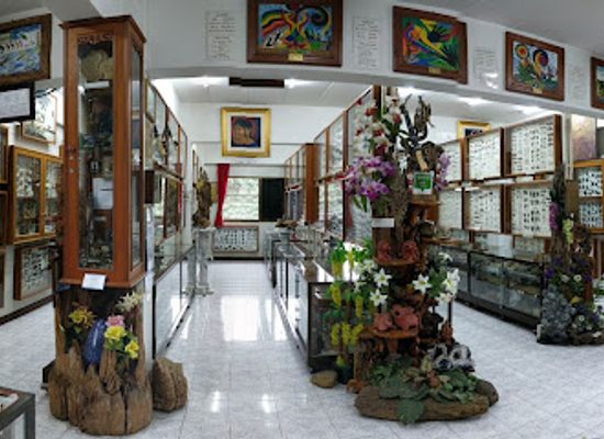 thailand/chiang-mai/nimmanhaemin/landmark/museum-of-world-insects-and-natural-wonders
