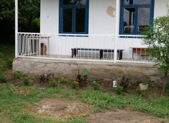 georgia/samegrelo-zemo-svaneti/landmark/nokihome-guest-house