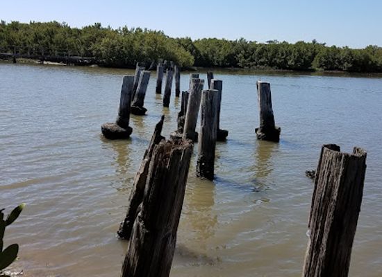 florida/cedar-key/landmark/cedar-key-railroad-trestle-nature-trail