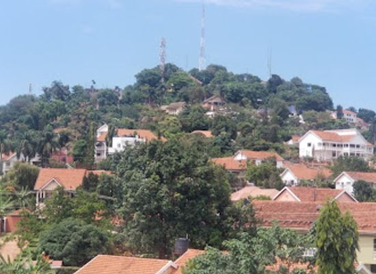 uganda/bukedi/landmark/vegan-foods-uganda
