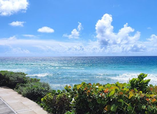 barbados/west-coast/landmark/the-richard-haynes-boardwalk