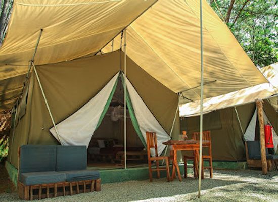 sri-lanka/ella/landmark/ella-glamping
