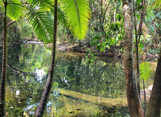 australia/daintree-rainforest/landmark/mason-s-swimming-hole