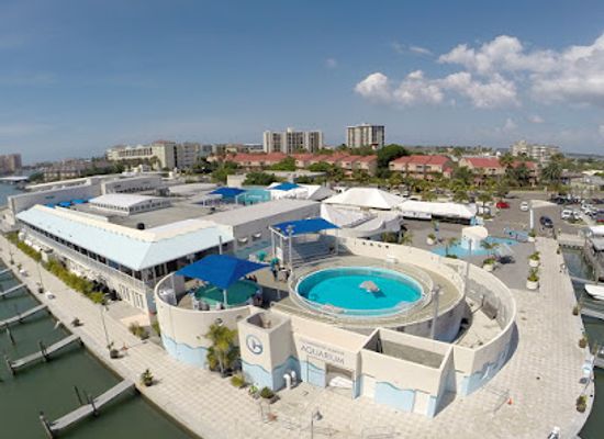 florida/clearwater/landmark/clearwater-marine-aquarium