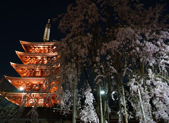 japan/iki/landmark/sensoji-chingodo